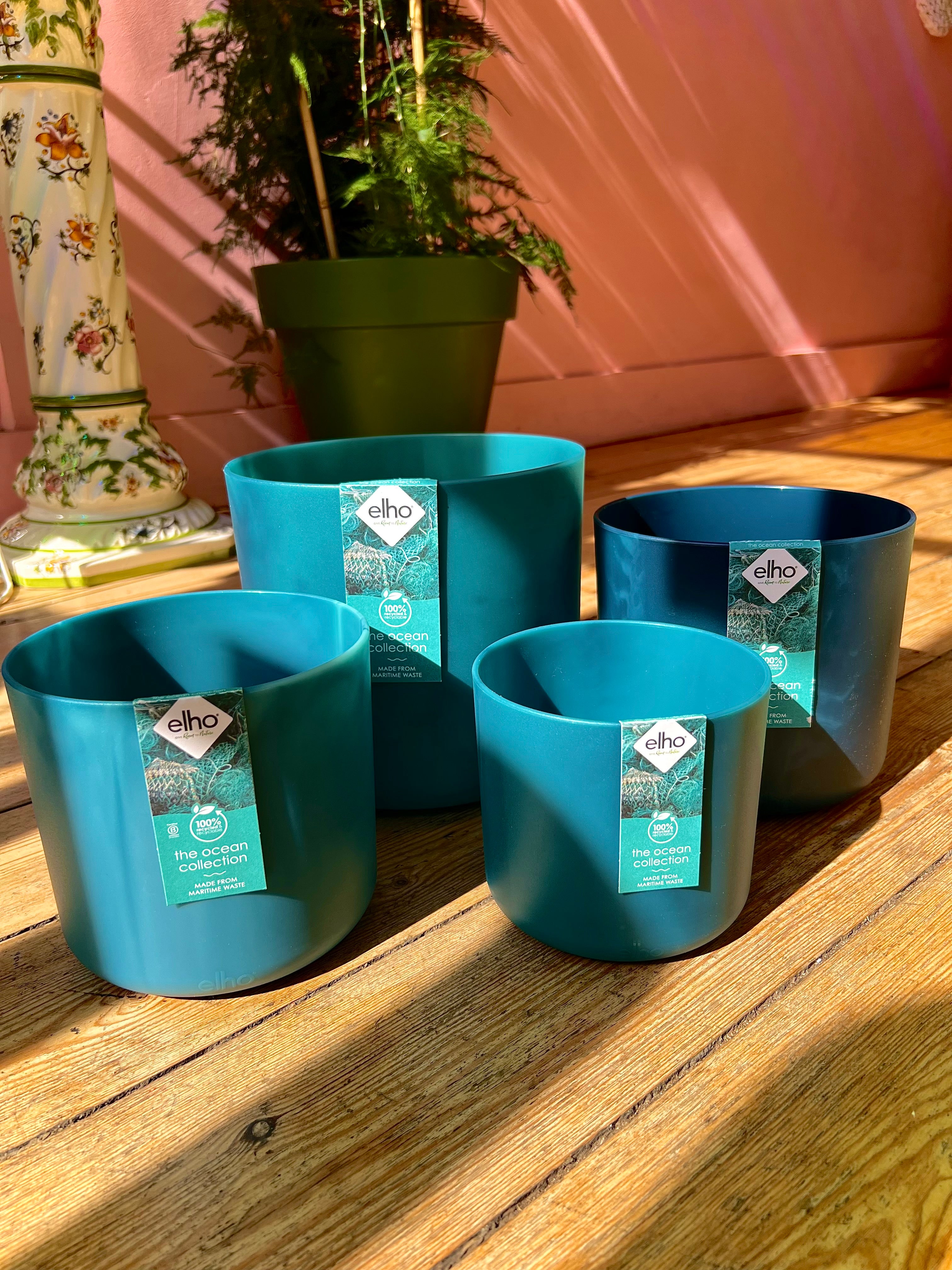 Ocean Collection Atlantic Blue GREEN PLANTSHOPS ocean-collection-atlantic-blue-green-plantshops