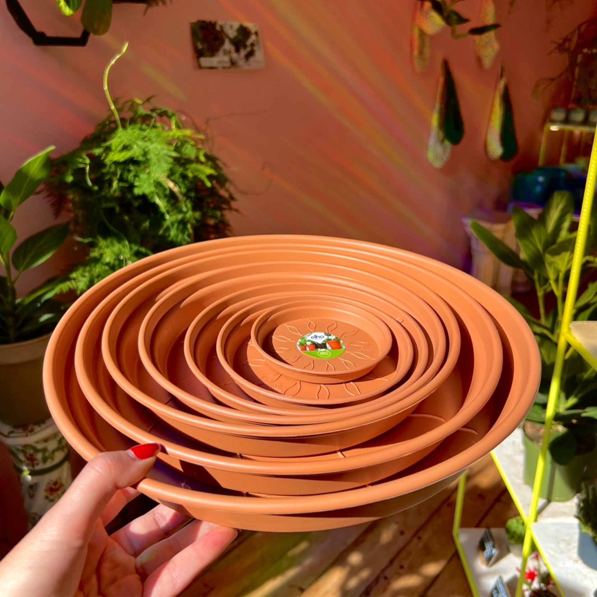 Saucer Mild Terra GREEN PLANTSHOPS saucer-mild-terra-green-plantshops